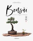 Bonsái: Arte y Naturaleza (Libros singulares)