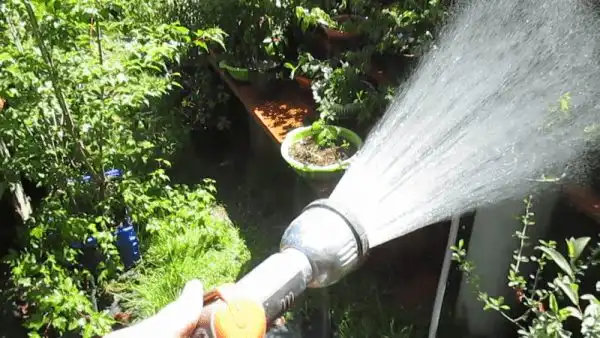Riego con lanza gardena